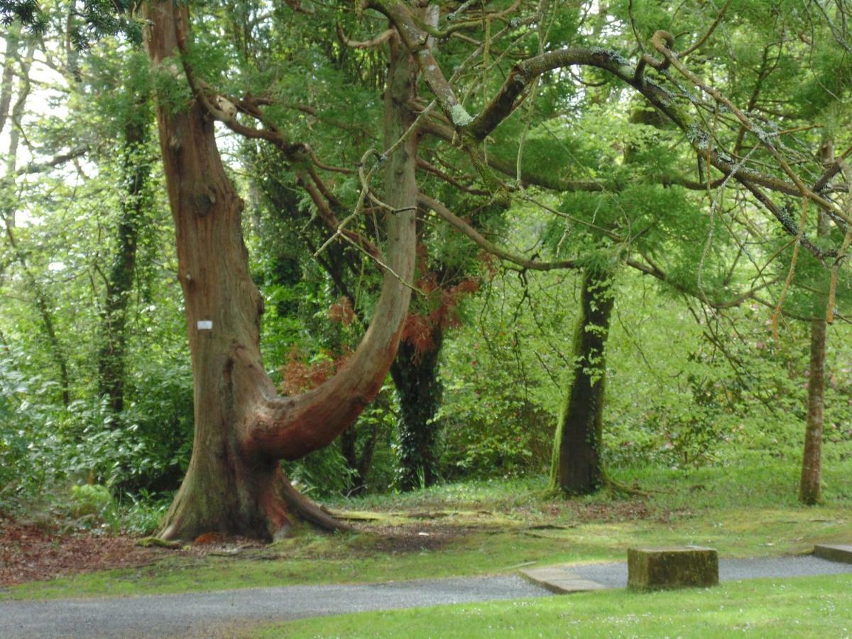 Lough Rynn Rental Mohill Esterno foto